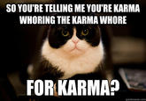 SO YOU'RE TELLING ME YOU'RE KARMA W------ THE KARMA W---- FOR KARMA? quickmeme.com