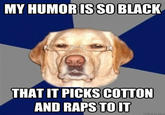 I'm Not Racist