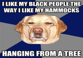 I'm Not Racist