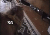 I made this from the Hip Hop version of the NONONONO cat.