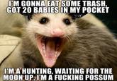 'M GONNA EAT SOME TRASH. GOT 20 BABIES IN MY POCKET MA HUNTING, WAITING FOR THE MOON UP, I'M A F------ POSSUM