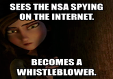 This is based on the NSA whistleblower that they are spying the Internet.