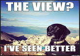 THE VIEW I'VE SEEN BETTER made on imgur