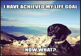 HAVE ACHIEVED MYLIFE GOAL NOW WHAT?