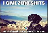 ZERO S---- NOT COUNTING THAT ONE BY THE CAR quickmeme.com