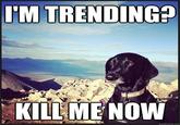 IM TRENDING? KILEME NOW quickmeme.com