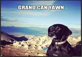 GRAND CAN YAWN