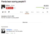 Panda bear scaring people!!!! Epfraim 29 Subscribe 66,953 4324 84 Like Storify About Share Add toll Uploaded on Feb 14, 2010 And then he started to sc Show more Top Comments 10203040zxc 1 year ago m offensive and I find this panda. Reply . 101é