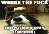 WHERE THE F--- DID YOU PUT MY CUPCAKE