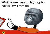 Wait a sec are u trying to rustle my jimmies