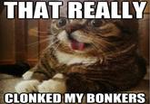 THAT REALLY CLONKED MY BONKERS