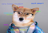Such skill | Doge | Know Your Meme