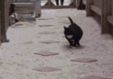 e31.gif