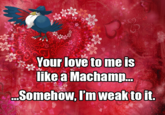 皋 Your loeto me is ike a Machamp.. Somehow, I'm weak toit.