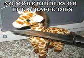NO MORE RIDDLES OR THE GRAFFE DIES