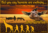 Did uou sau humans are evoving osheeta
