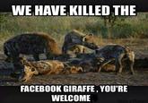 WE HAVEKILLED THE FACEBOOK GIRAFFE, YOURE WELCOME