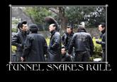 TUNNEL SNHKES RULE