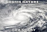 DAMN NATURE YOU SCARY