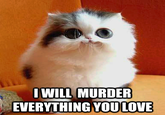 WILL MURDER EVERYTHING YOU LOVE