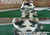 Owner pretended to throw the ball I pretended to care when his kid foundthe body