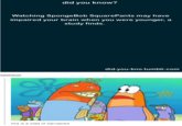 did you know? Watching SpongeBob SquarePants may have impaired your brain when you were younger, a study finds. did-you-kno.tumblr.com lumineor this is a load of barnacles