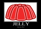 JELLY Are you, Bro?