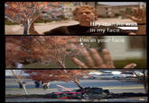 Tree in my face Parody version of the "he was in my face" triptych