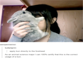 sempermemor. buttpilgrim apply blin dires«.ily to ühe, iorestic%ad As an animal science major I can 100% certify that this is the correct usage of a bun.