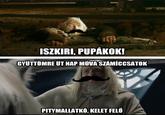 ISZKIRI, PUPÁKOK! GYÜTTÜMRE UT NAP MÚVA SZÁMÍCCSATOK PITYMALLATKÓ, KELET FELÚ