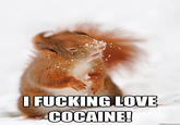 183.jpg I F------ LOVE COCAINE!