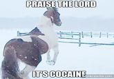 424.jpg PRAISE THE LORD T'S COCAINE MEMECENTER.COM
