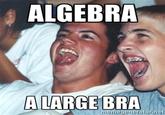 363.jpg ALGEBRA ALARGEBRA