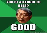 YOU'RE ALLERGIC TO BEES? GOOD memegenerator.net