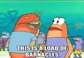 THISISALOAD OF BARNACLES
