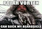 POLAR VORTE CAN SUCK MY BEARDSICLE