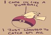 I cane IN like A OKEBALL 7 1づUST WANTED CATCH EM ALL