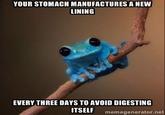 YOUR STOMACH MANUFACTURES A NEW LINING EVERY THREE DAYS TO AVOID DIGESTING ITSELF memegenerator.net