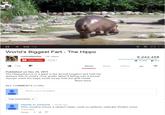 ) 0:22 / 1:03 World's Biggest Fart - The Hippo curiositytube 128 videos 6,242,458 ub 15,428 915 Subscribe 3,310 1" Likeタ1 About Share Add to Published on Dec 25, 2011 The Hippopotamus is a giant in the animal kingdom and hold the dubious title of world's most prolific farter! If farting was a animal olympic event the hippo would surely hold the gold medal. Show more ALL COMMENTS (3,096) Share your thoughts Top comments Omnia in numeris 1 month ago could so perfectly replicate Skrillex tunes. Translate Reply 5 I