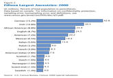 Figure 2 Fifteen Largest Ancestries: 2000 (In millions. Percent of total population in parentheses Data based on sample. For information on confidentiality protection, sampling error, nonsampling error, and definitions, see www.census.gov/prod/cen2000/doc/sf3.pdf) 42.8 German (15.2%) Irish (10.8%) African American (8.8%) English (8.7%) American (7.2%) Mexican (6.5%) Italian (5.6%) Polish (3.2%) French (3.0%) American Indian (2.8%) Scottish (1 .7%) Dutch (1.6%) Norwegian (1 .6%) Scotch-Irish (1.5%) Swedish (1.4%) 30.5 24.9 24.5 20.2 18.4 15.6 9.0 8.3 7.9 4.9 4.3 4.0 Source: U.S. Census Bureau, Census 2000 special tabulatiorn