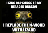 I SING RAP SONGS TO MY BEARDED DRAGON I REPLACE THE N-WORD WITH LIZARD