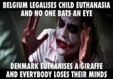 BELGIUM LEGALISES CHILD EUTHANASIA AND NO ONE BATS AN EYE DENMARK EUTHANISES A GIRAFFE AND EVERYBODY LOSES THEIR MINDS