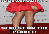 EMMA WATSON LEGS. 岳 CE FIL ADEMY 1E PARIS LAN Orange BRITISH ACADEMY FILM AWARDS NCOME BRI FIL PARIS SEXIEST ON THE PLANET! quickmeme.com