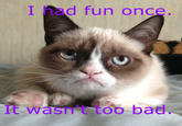 I had fun once It wasn't too bad