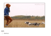 4GIFS.Com 4gifs Barkour