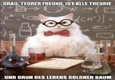 e08.jpg GRAU, TEURER FREUND, IST ALLE THEORIE 2. 100 80 60 40 UND GRüN DES LEBENS GOLDNER BAUM