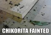 CHIKORITA FAINTED