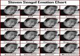 Stevan Seagal Expressions Via http://1dunia.net/2011/03/stevan-seagal-emotion-chart/
