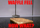 WAFFLE FELL NOW WHATA