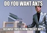 DO YOU WANT ANTS BECAUSE THISIS HOW YOU GET ANTS
